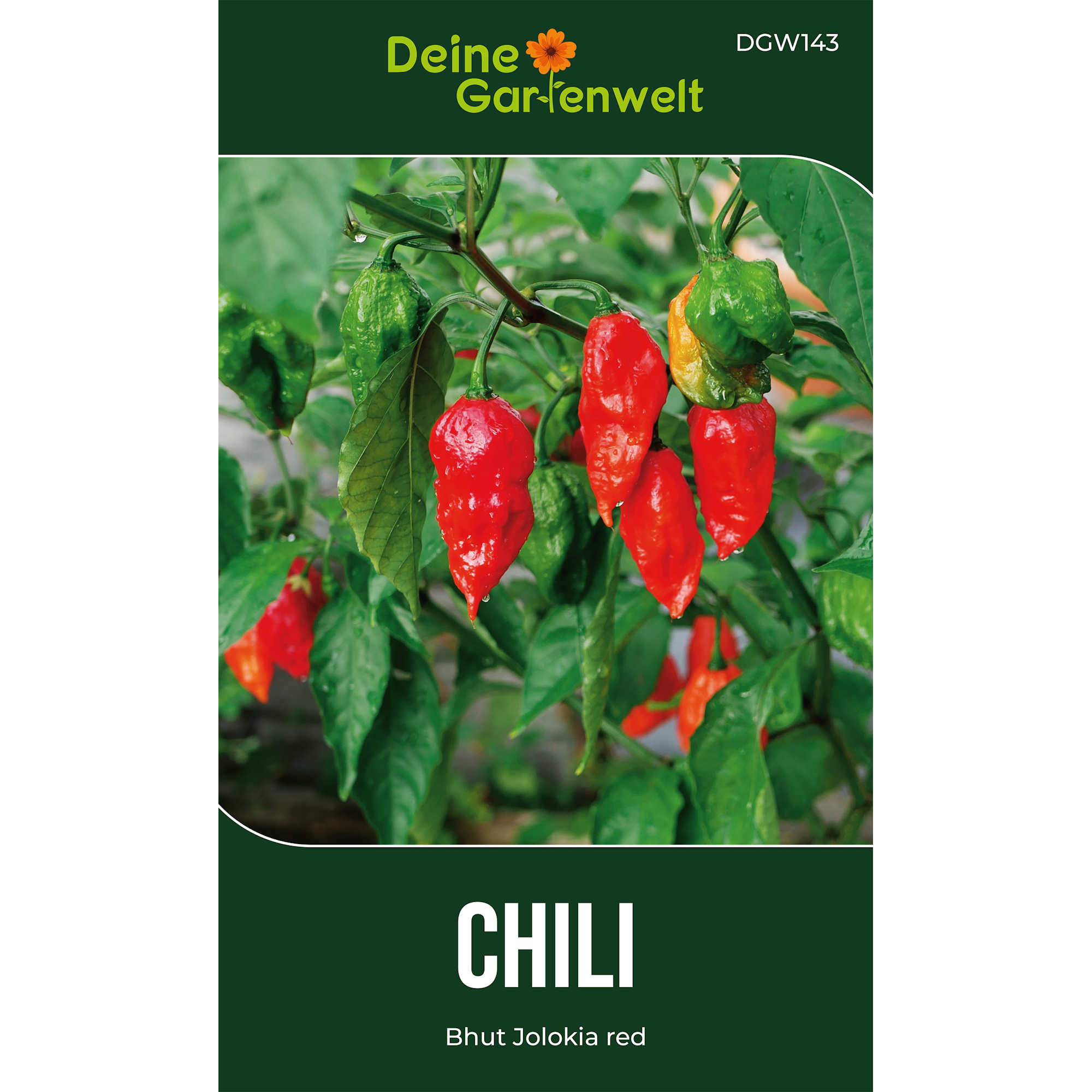 Chili Bhut Jolokia red