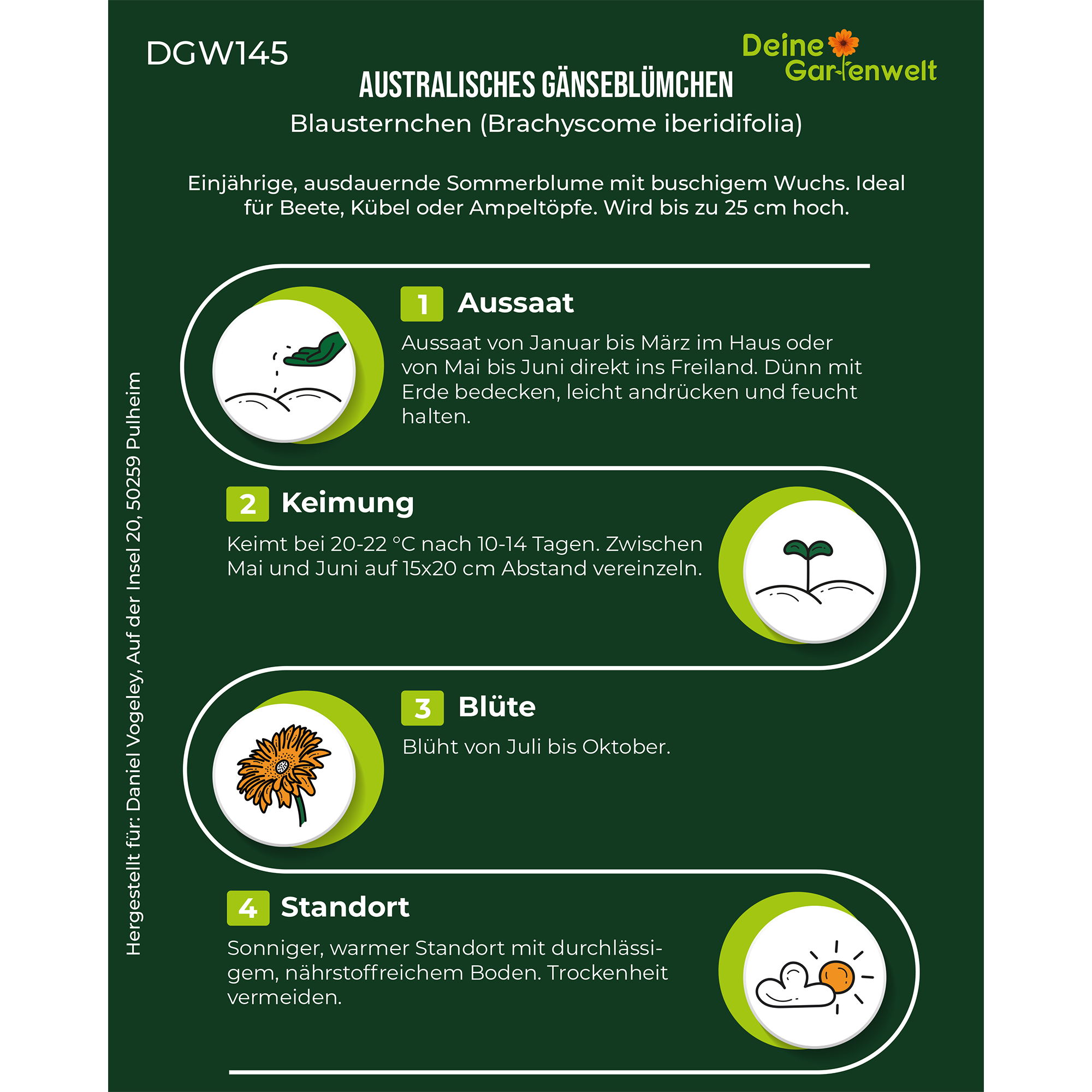 Australisches Gänseblümchen Blau