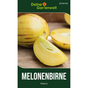 Melonenbirne Pepino