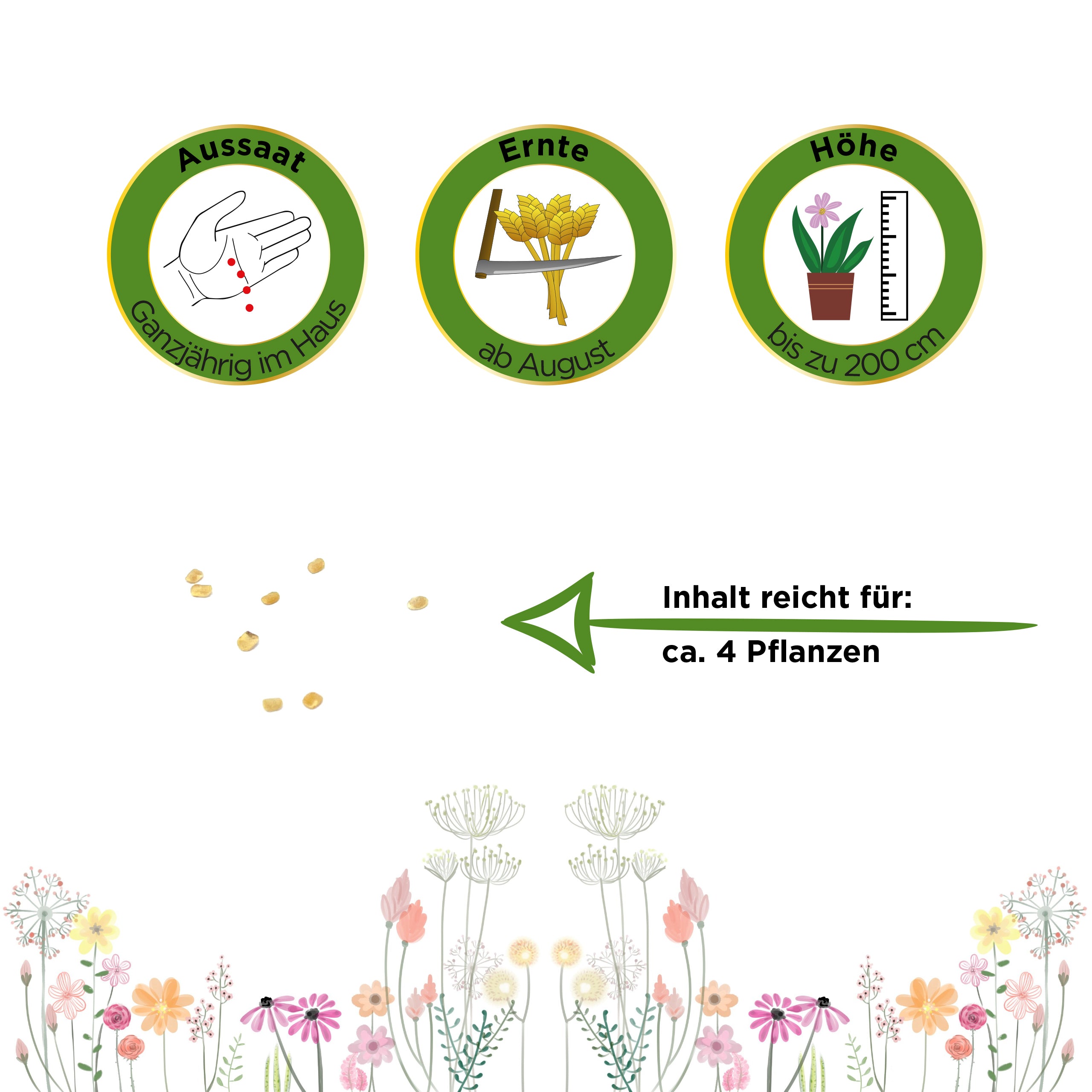 Gojibeere Chinesische Wolfsbeere