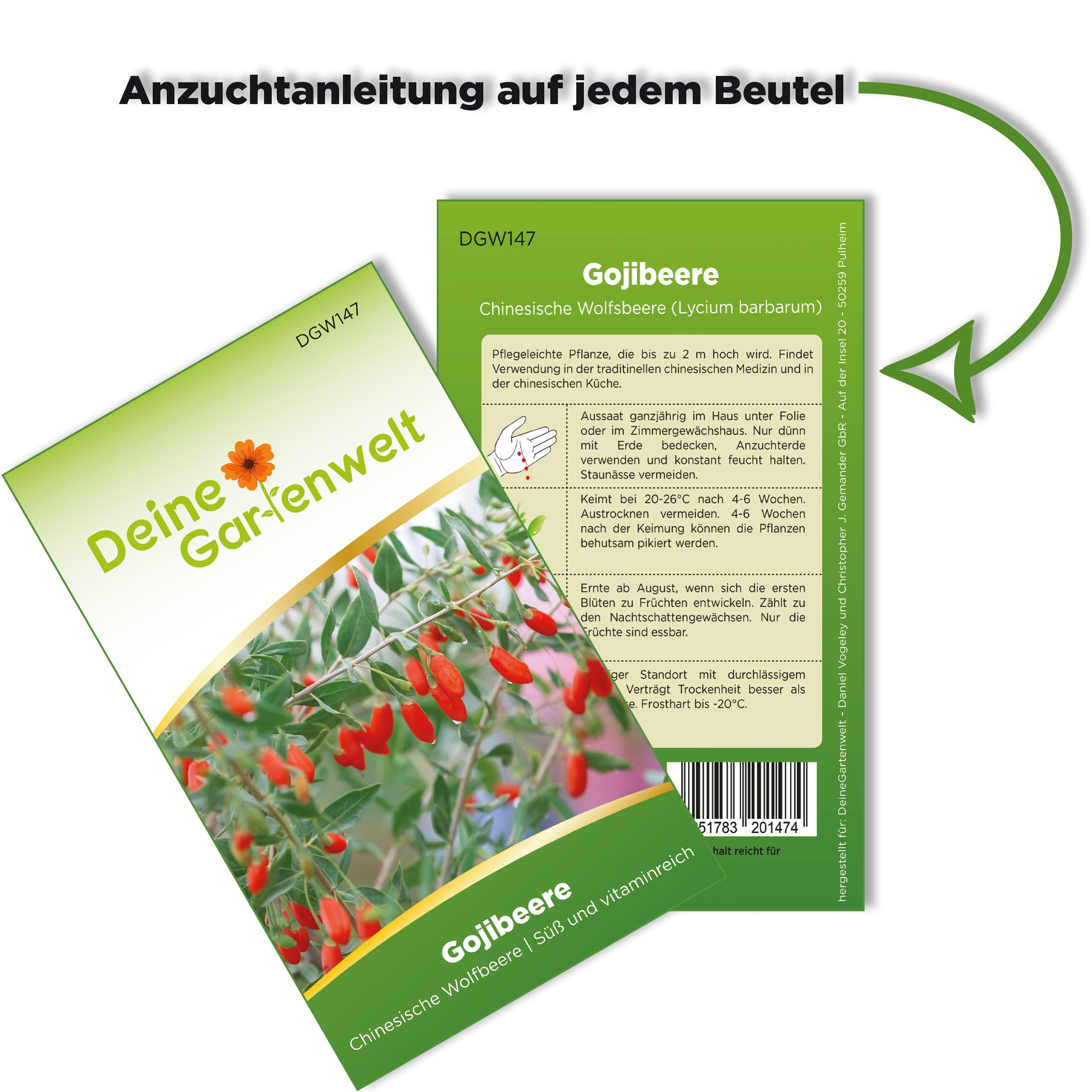 Gojibeere Chinesische Wolfsbeere