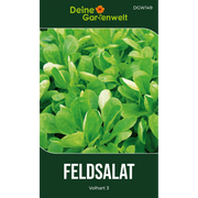 Feldsalat Volhart 3