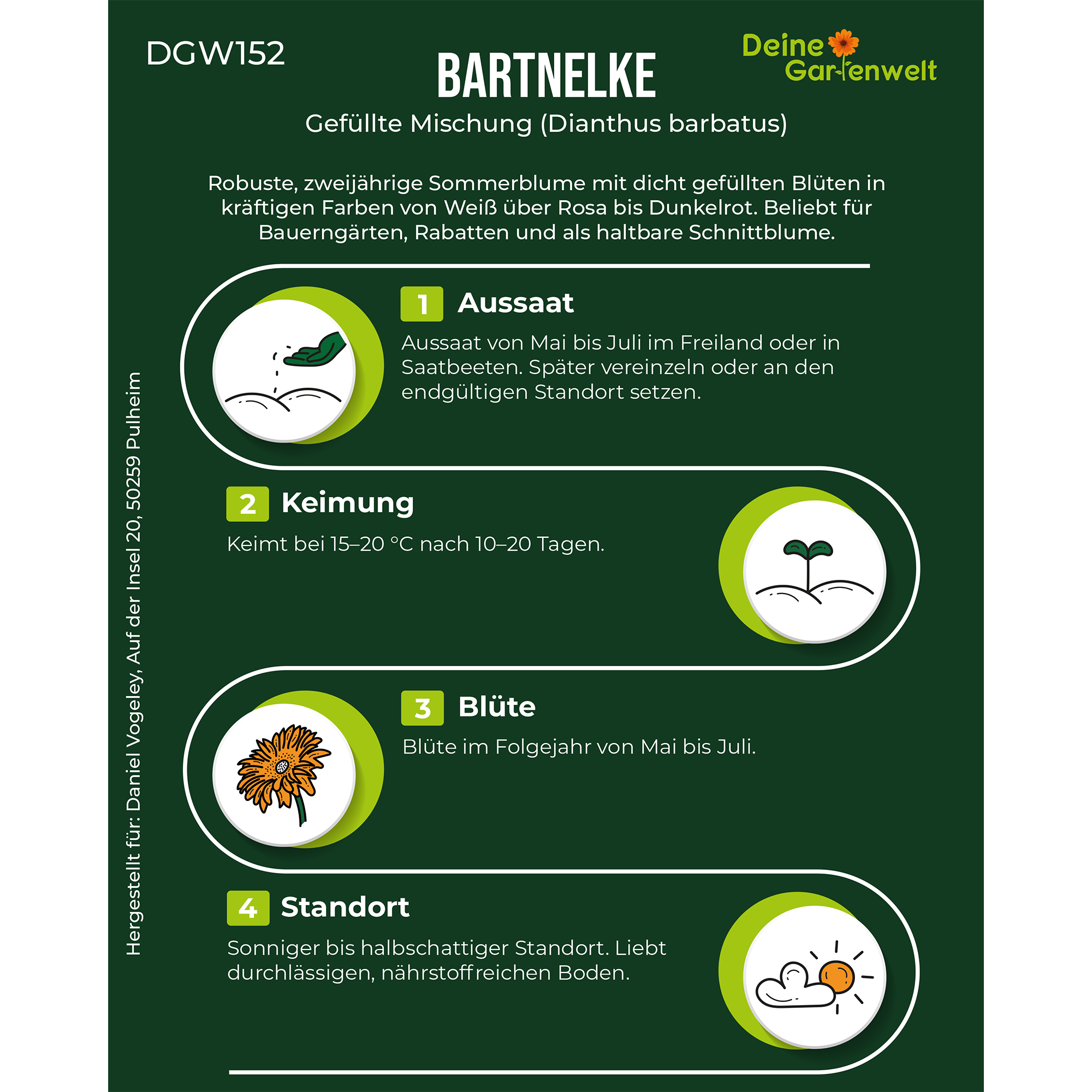 Bartnelke Gefüllte Mischung