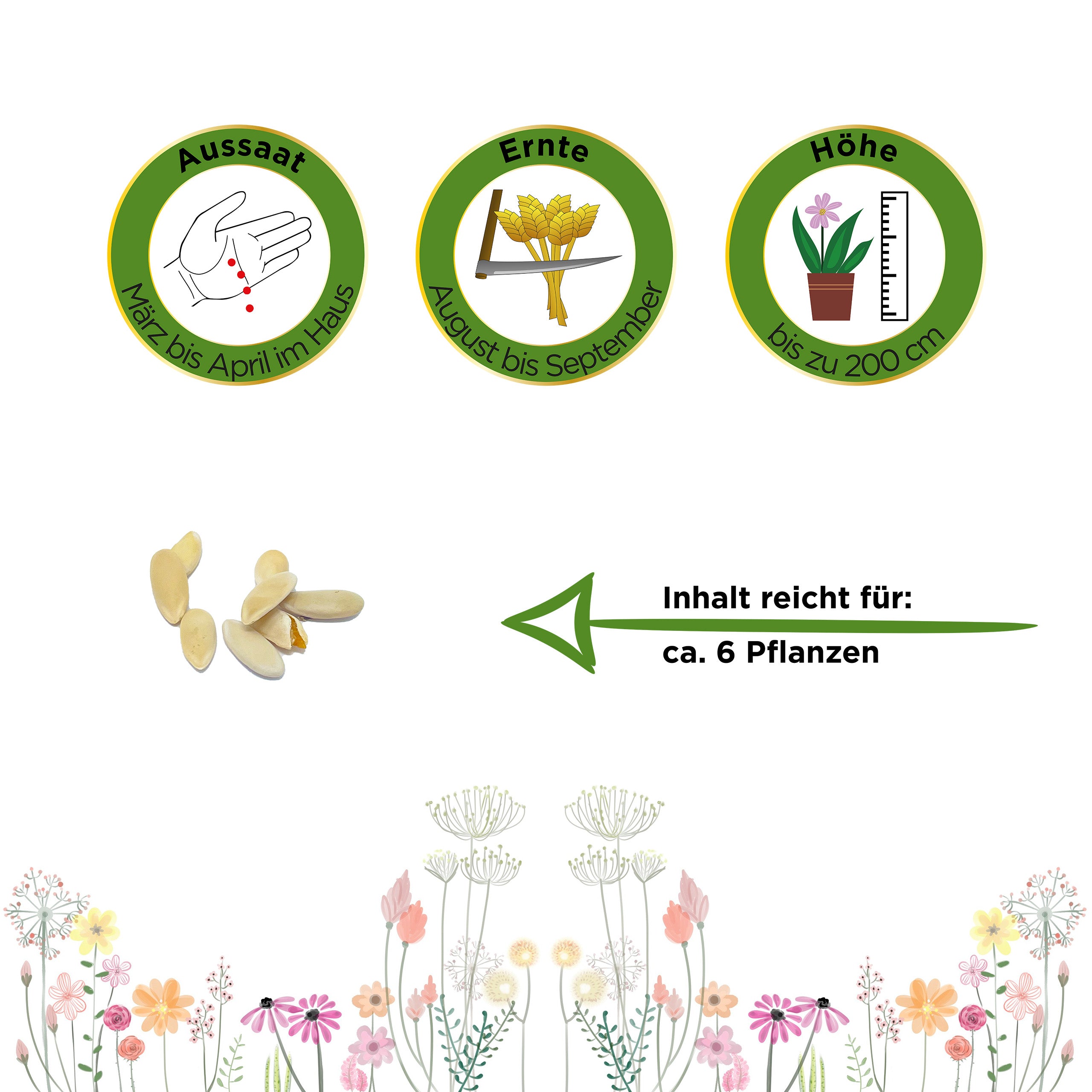 Melonengurke Carosello Barese