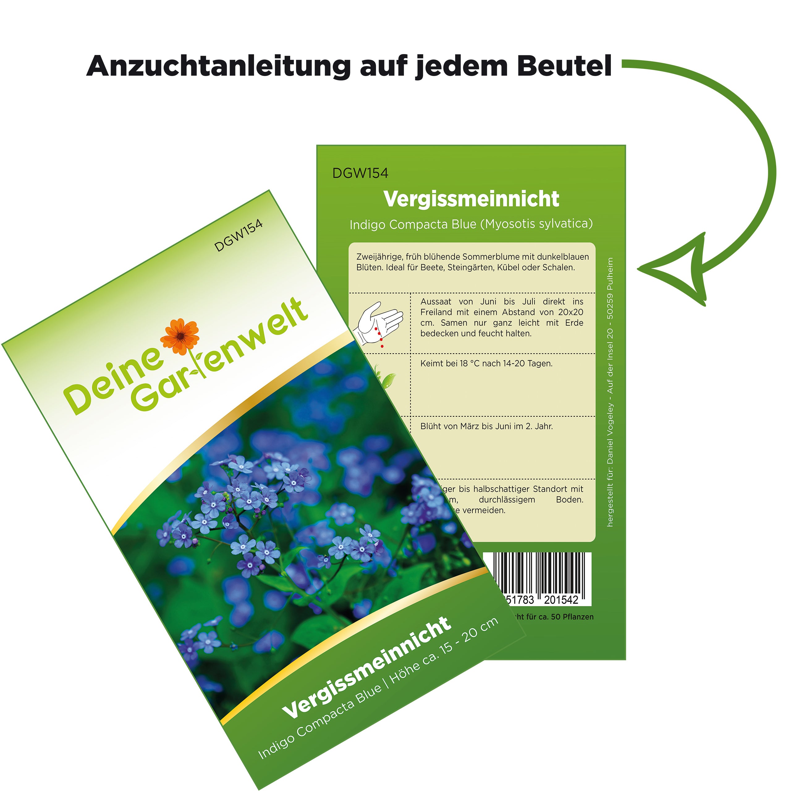 Vergissmeinnicht Indigo Compacta Blue