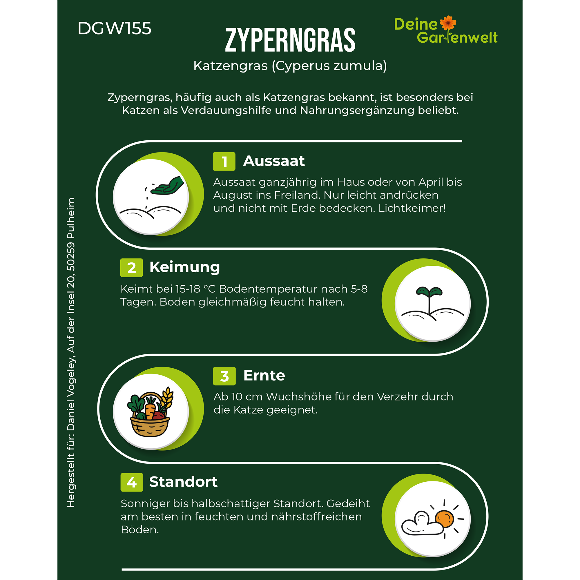 Zyperngras