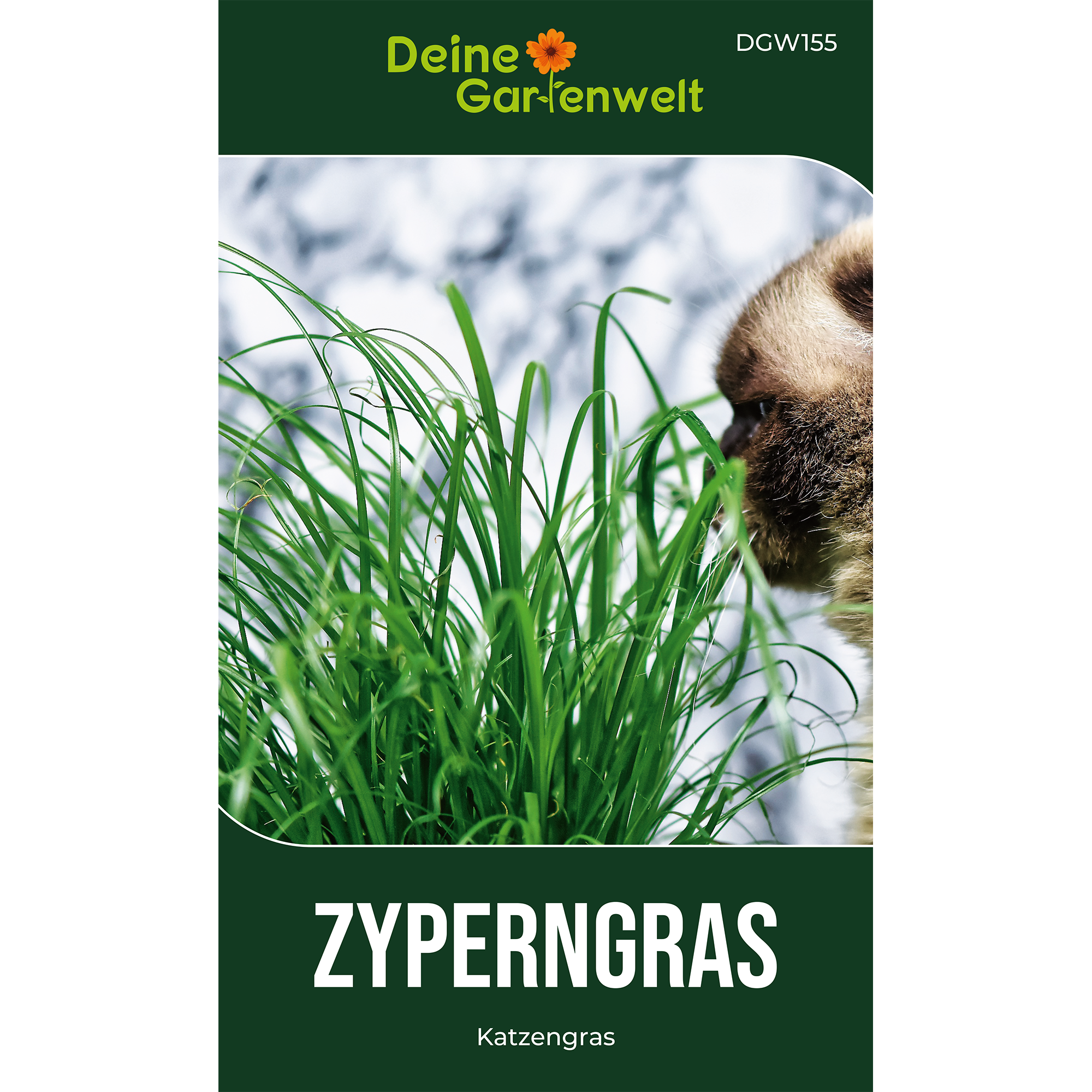 Zyperngras