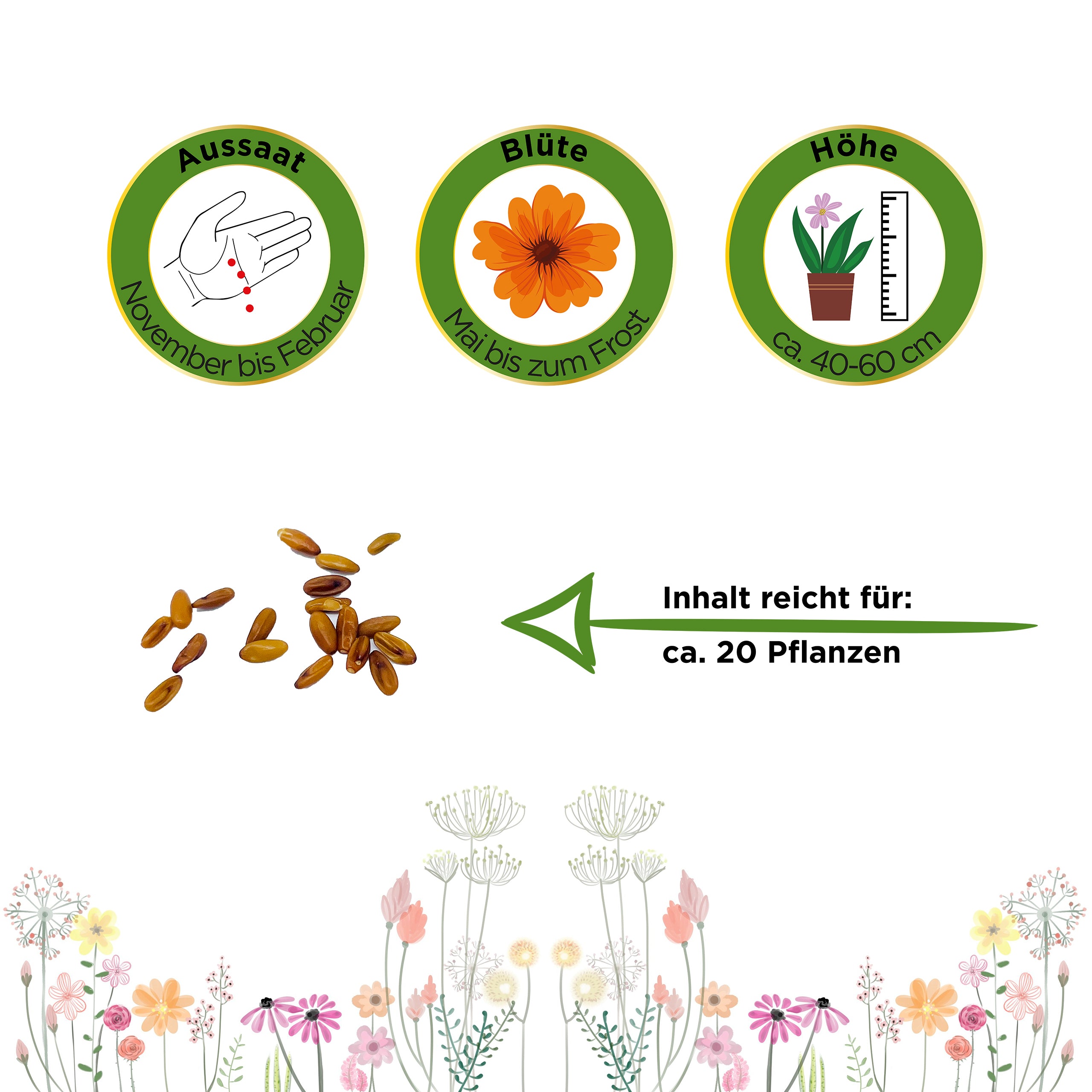 Hängegeranien Mischung