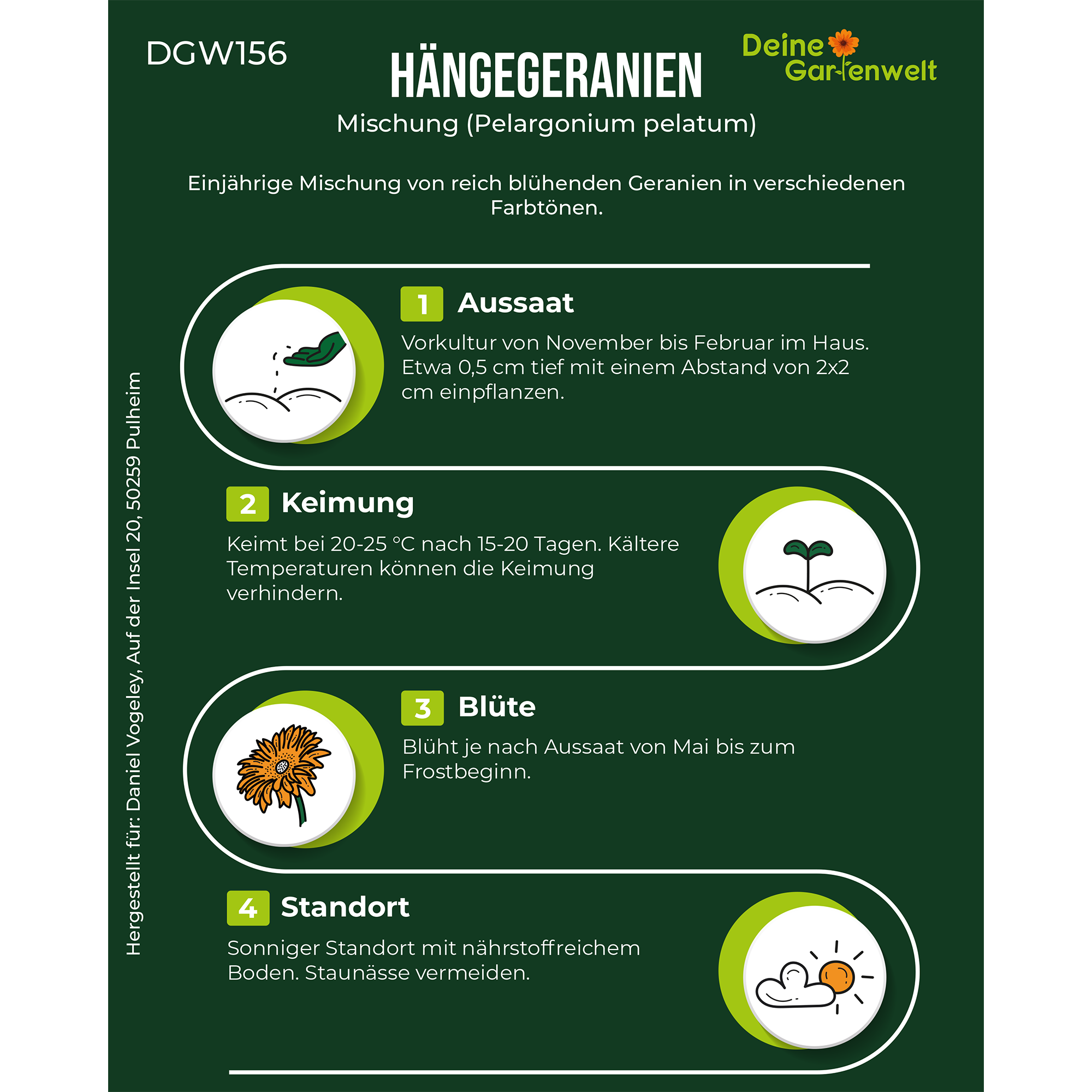 Hängegeranien Mischung