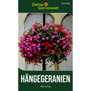 Hängegeranien Mischung