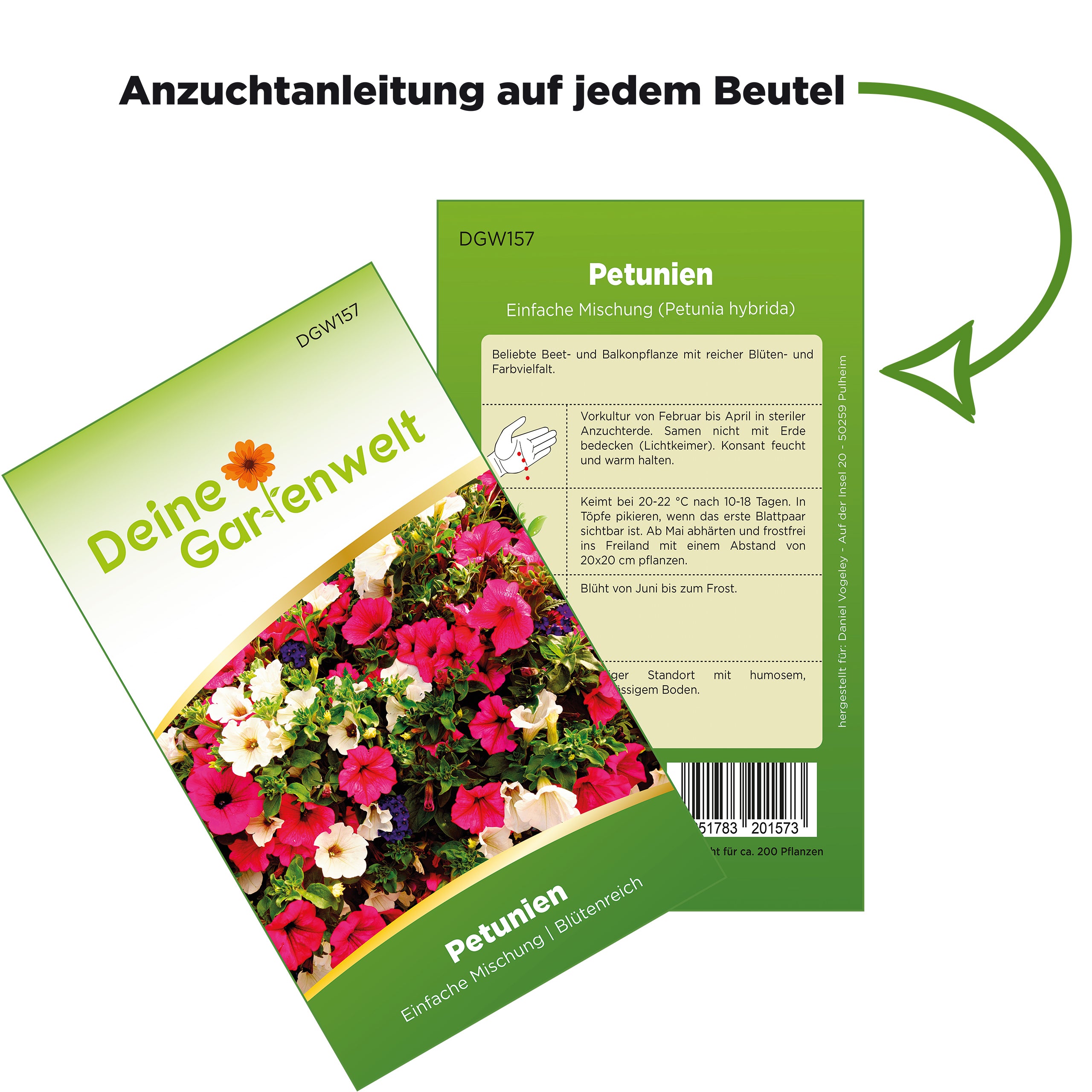 Petunien Einfache Mischung