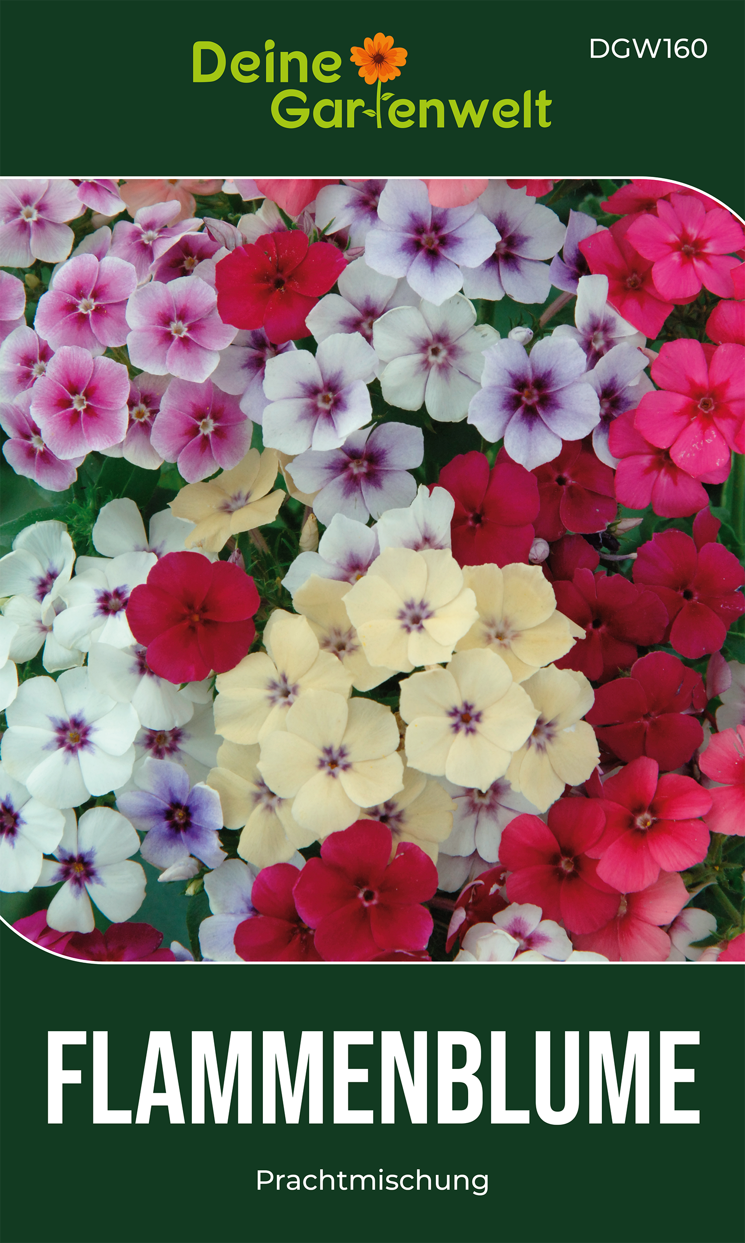 Flammenblumen Prachtmischung