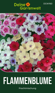 Flammenblumen Prachtmischung