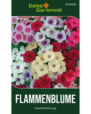 Flammenblumen Prachtmischung