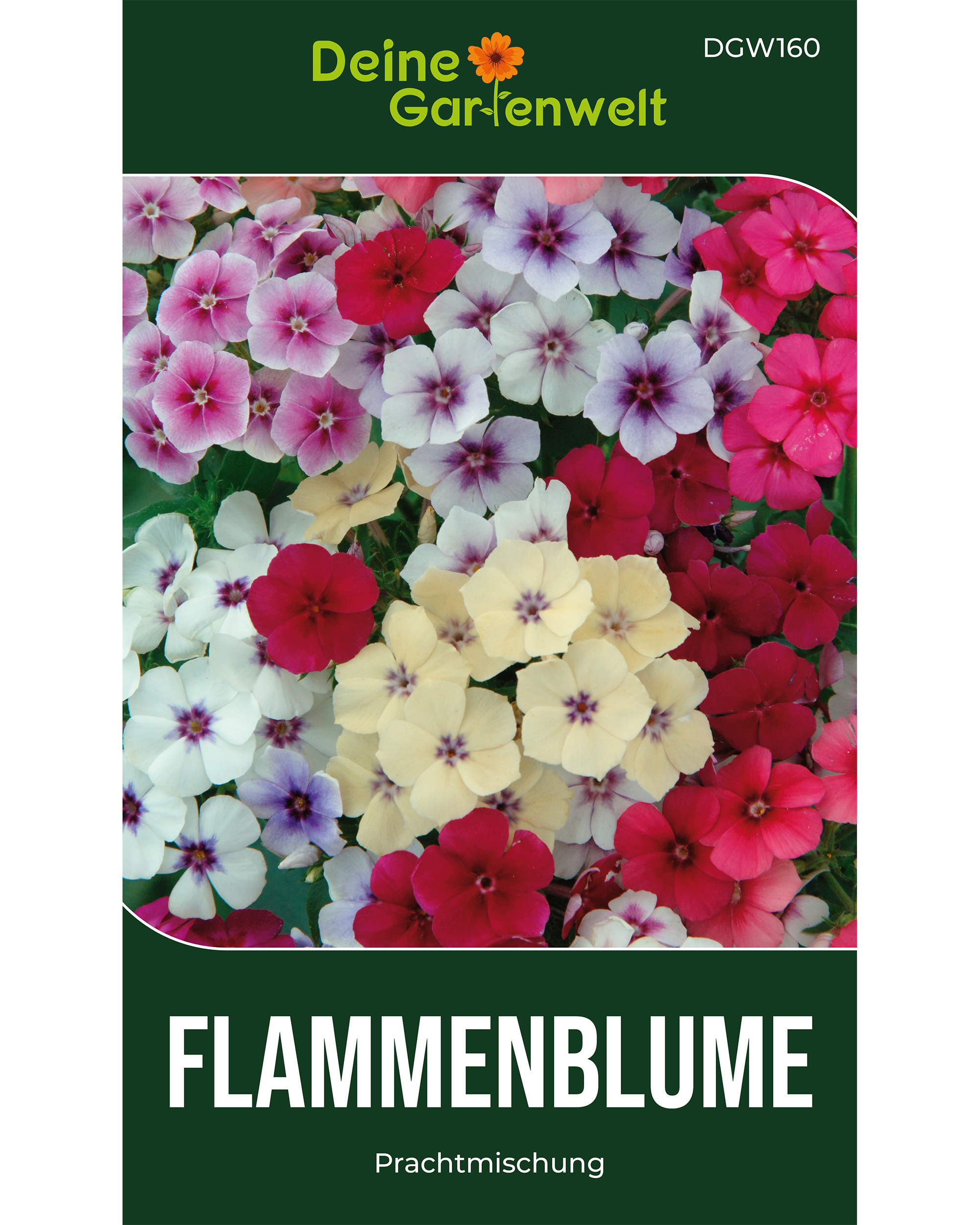Flammenblumen Prachtmischung