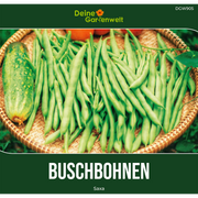 Buschbohne Saxa