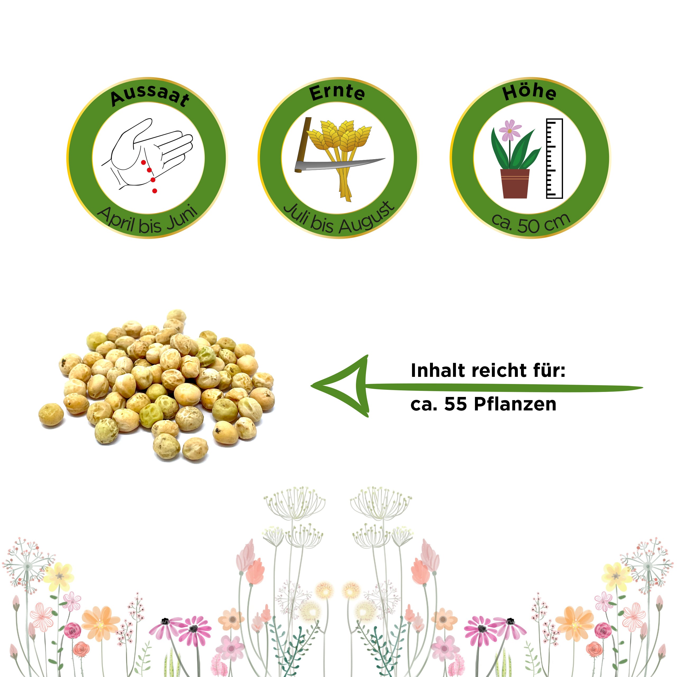 Topf-Zuckererbse Norli