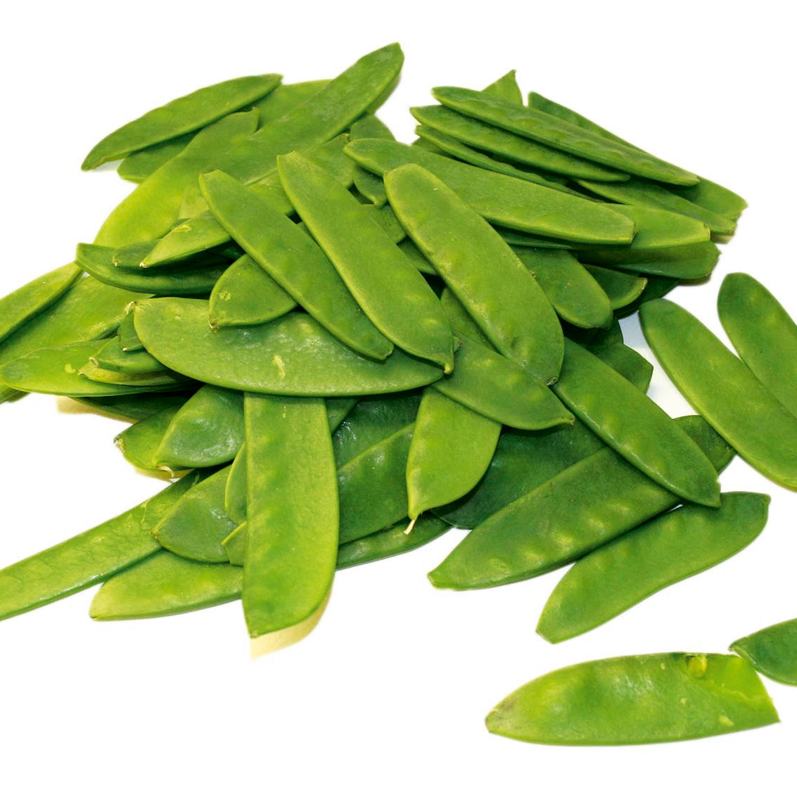 Topf-Zuckererbse Norli