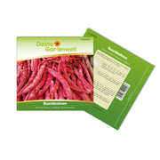 Buschbohne Borlotto Rosso