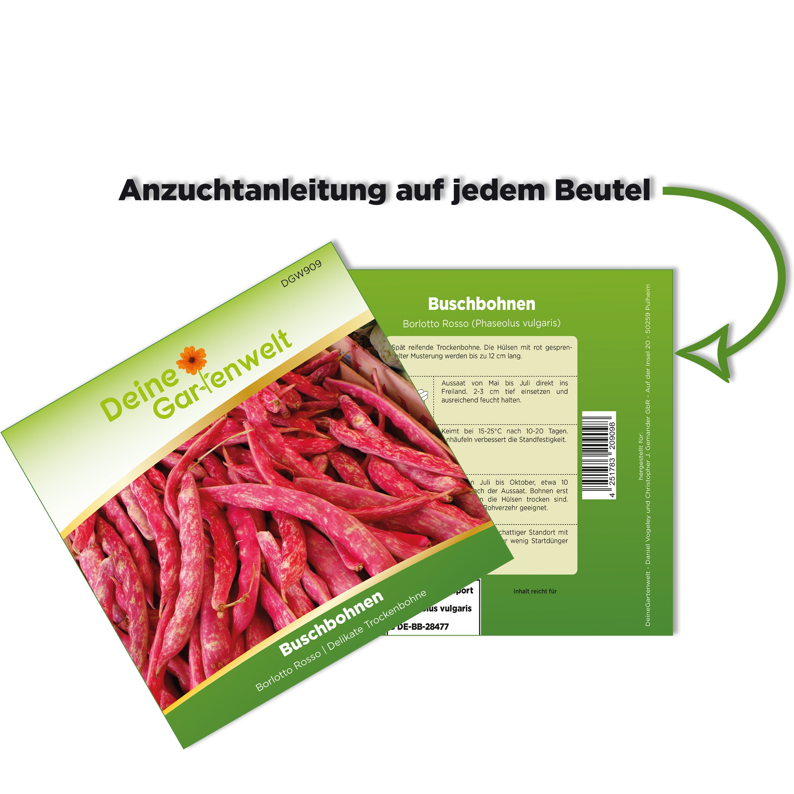 Buschbohne Borlotto Rosso