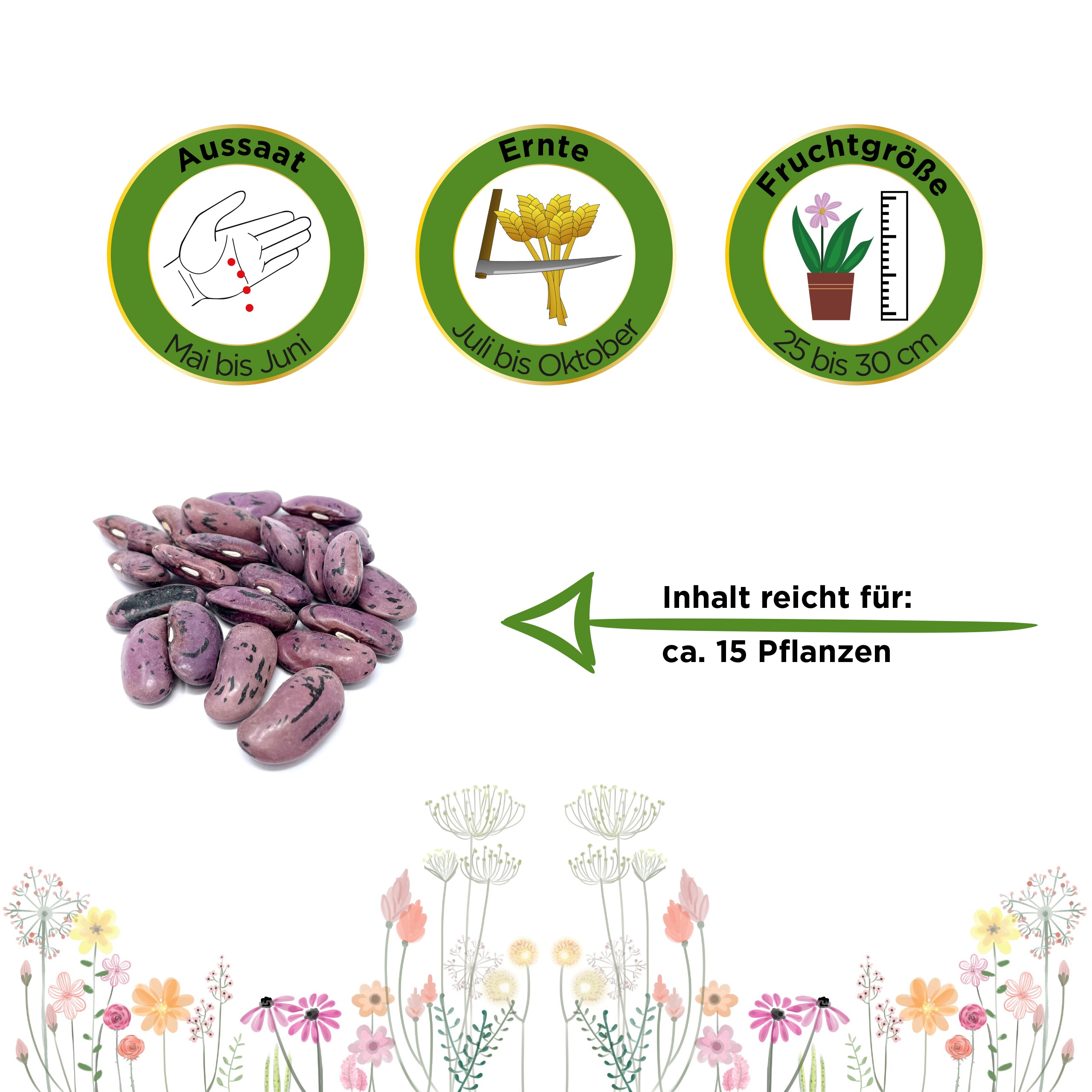 Prunkbohne Feuerbohne Preisgewinner