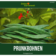 Prunkbohne Feuerbohne Preisgewinner