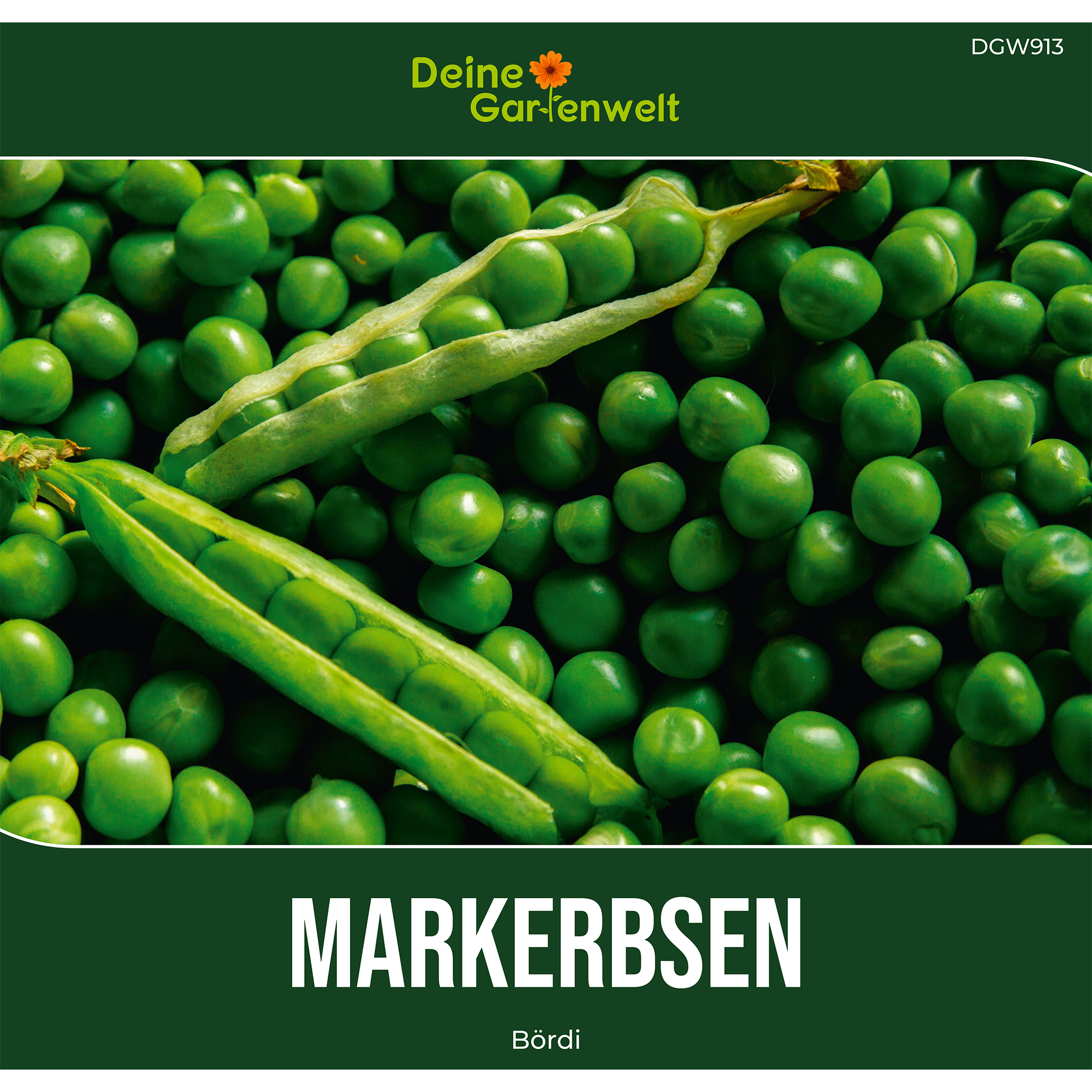 Markerbse Bördi Saatgut
