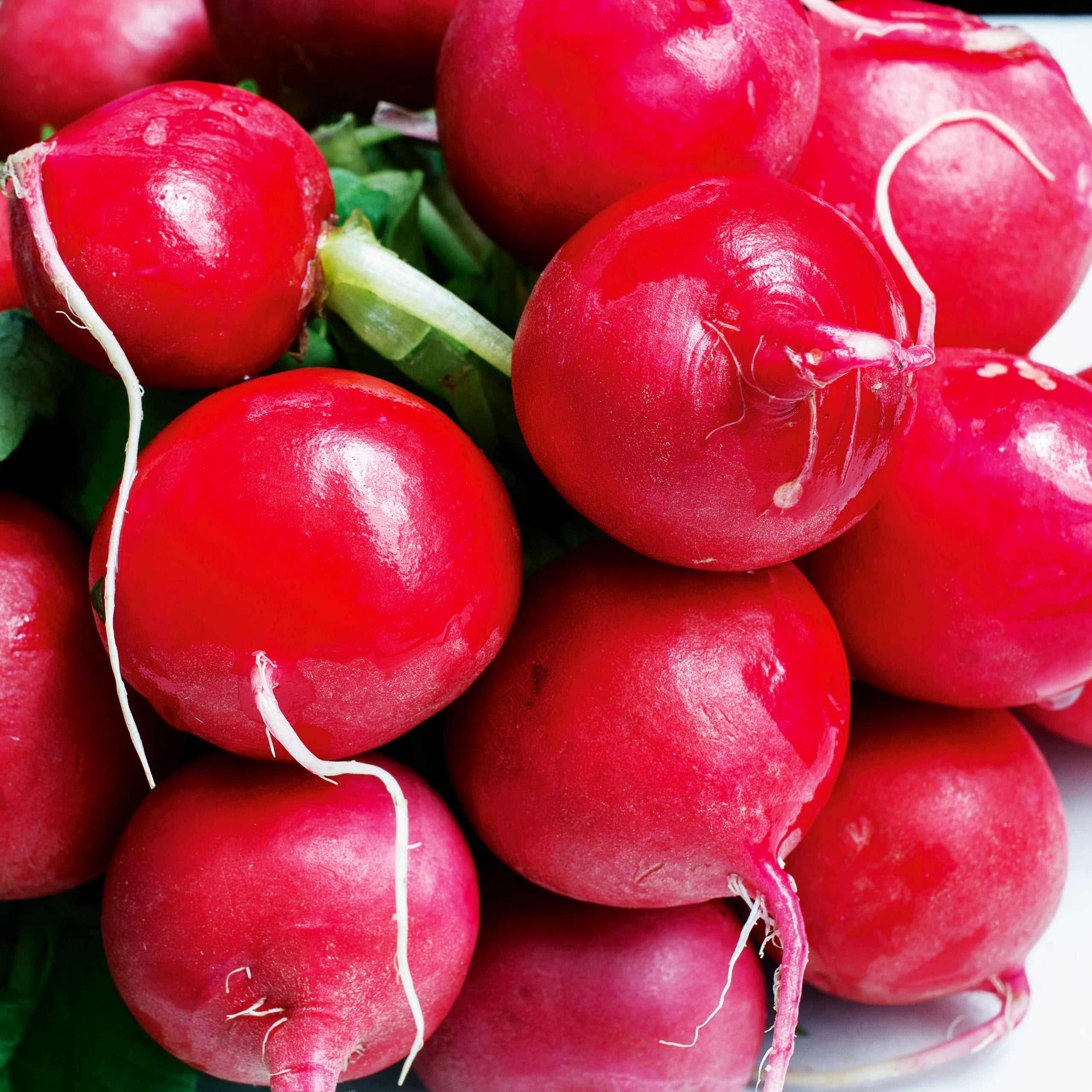 Radieschen 3 Sorten Saatband 5 m