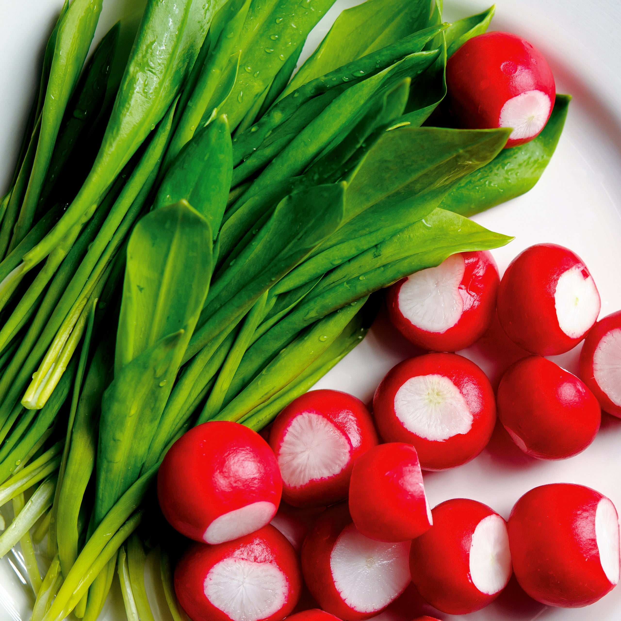 Radieschen 3 Sorten Saatband 5 m