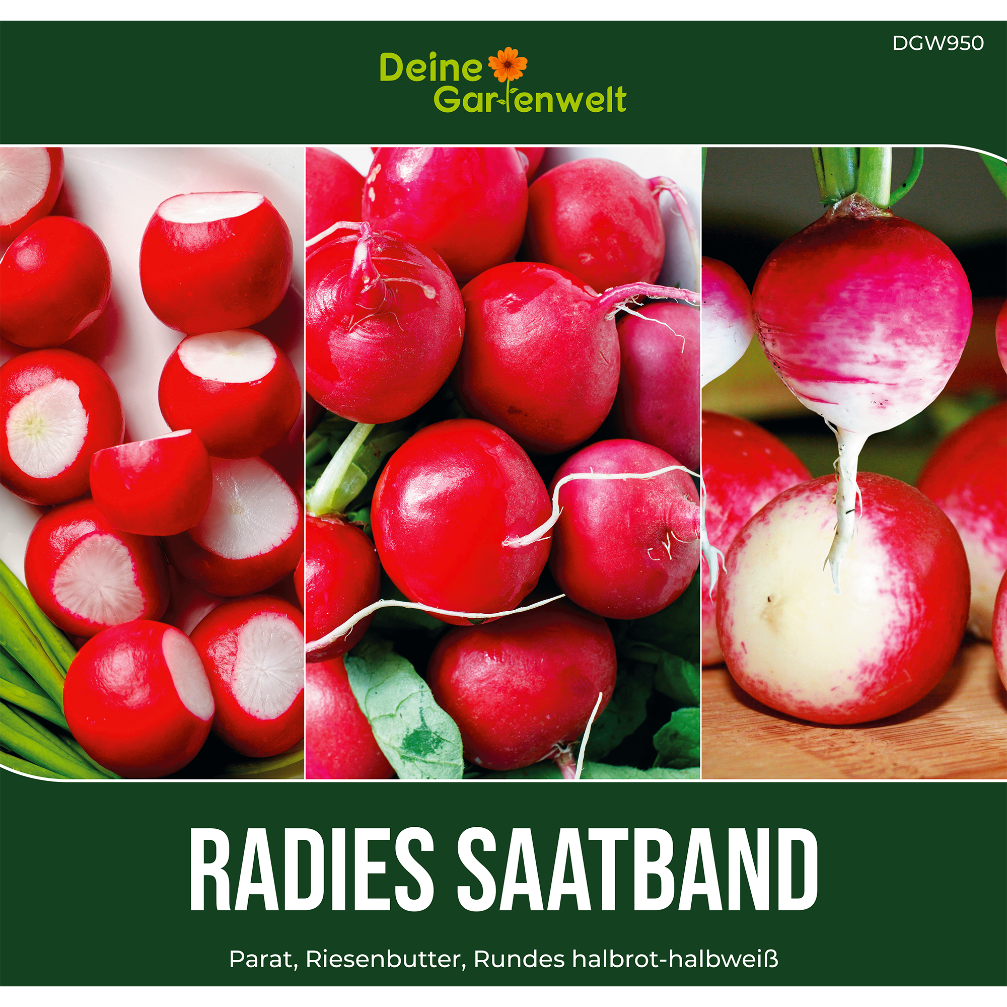 Radieschen 3 Sorten Saatband 5 m