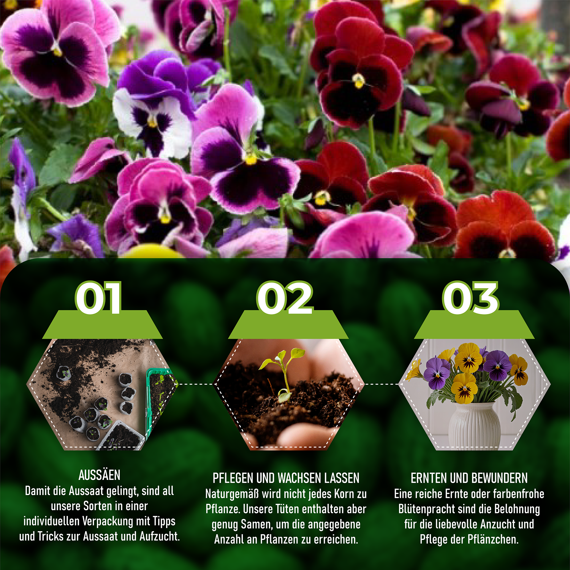 Blumensamen-Set mit 10 Sorten