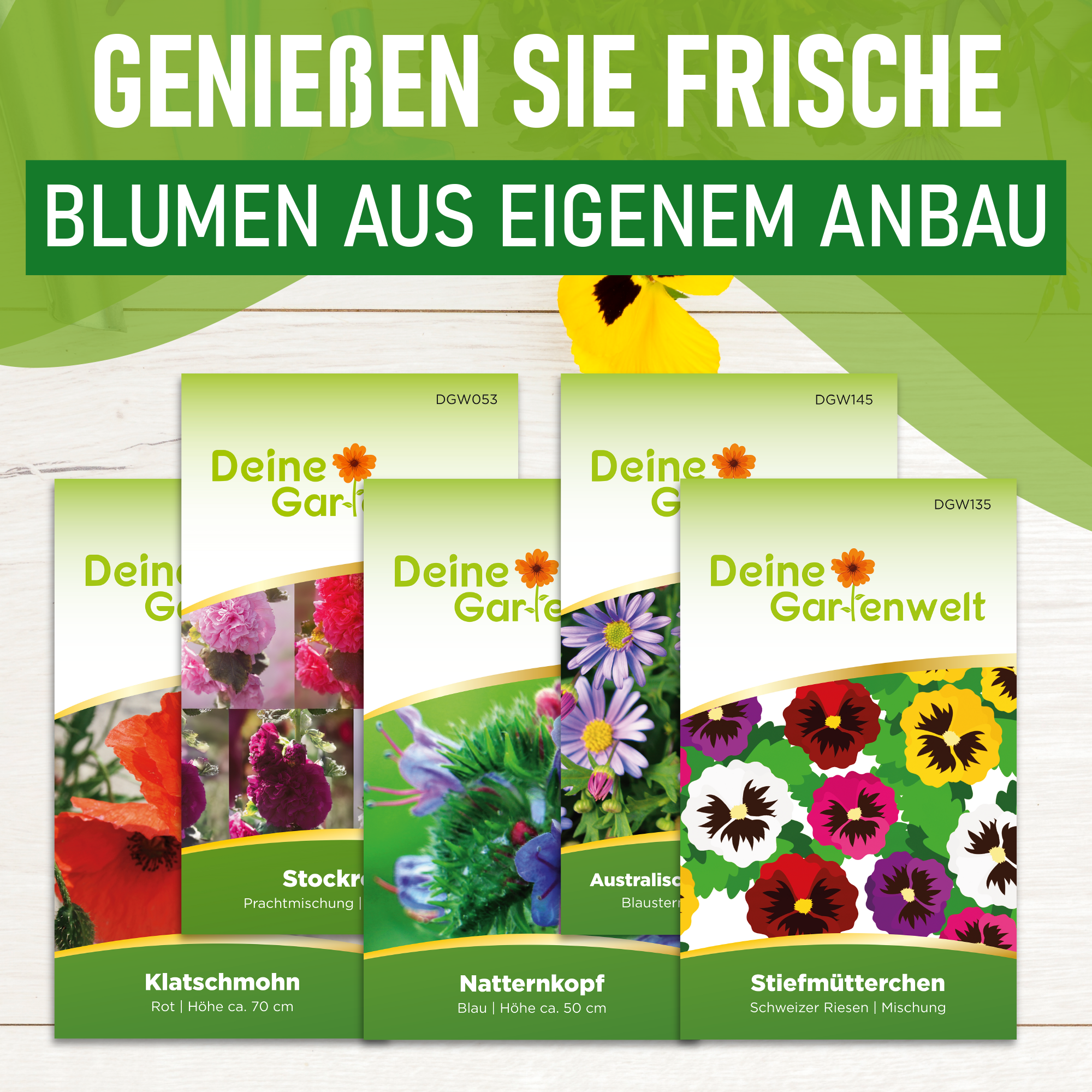 Blumensamen-Set mit 10 Sorten
