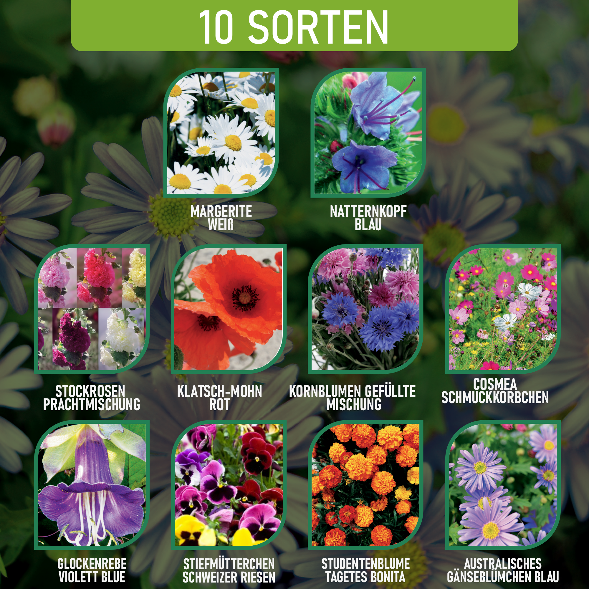 Blumensamen-Set mit 10 Sorten