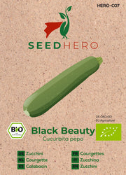 BIO Zucchini Black Beauty