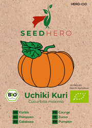 BIO Kürbis Uchiki Kuri