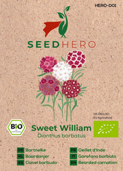 BIO Bartnelke Sweet William