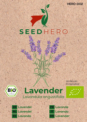 BIO Lavendel Echter