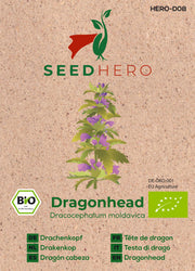 BIO Drachenkopf