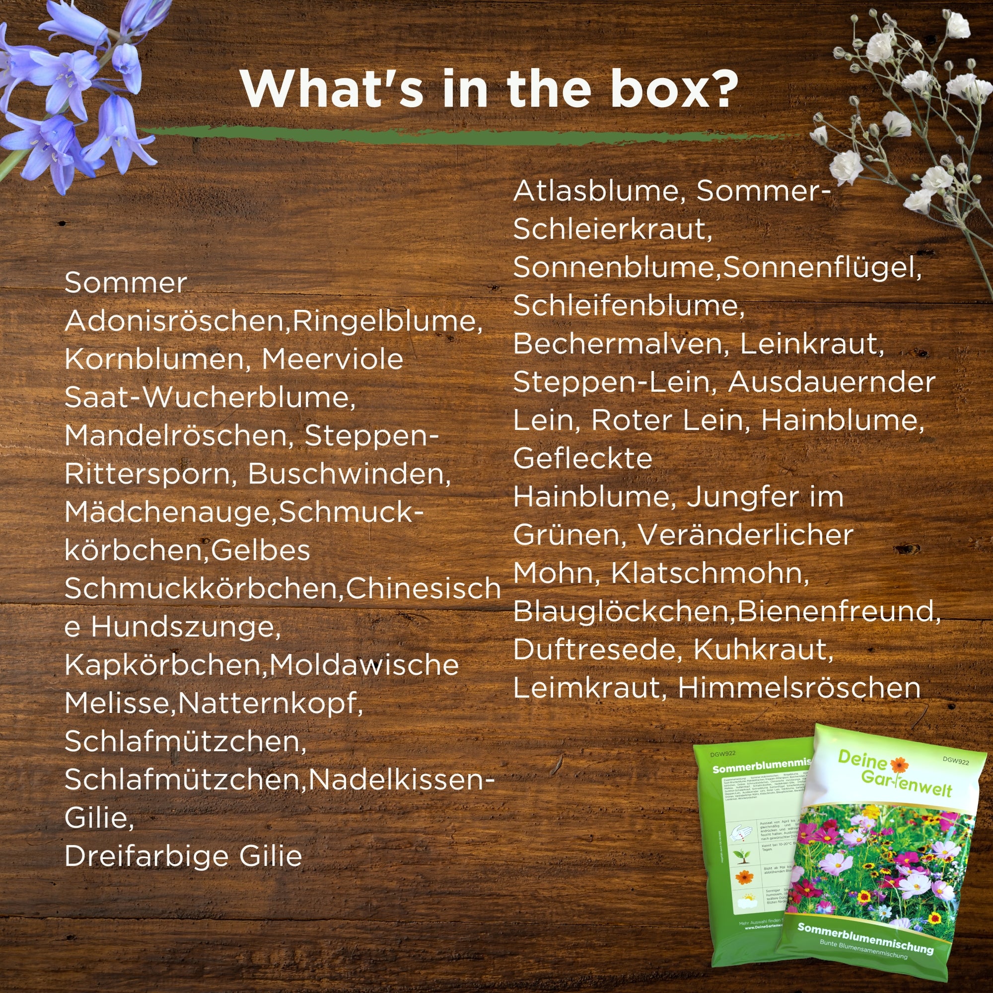 Sommerblumenwiese Blumenmischung 100 g