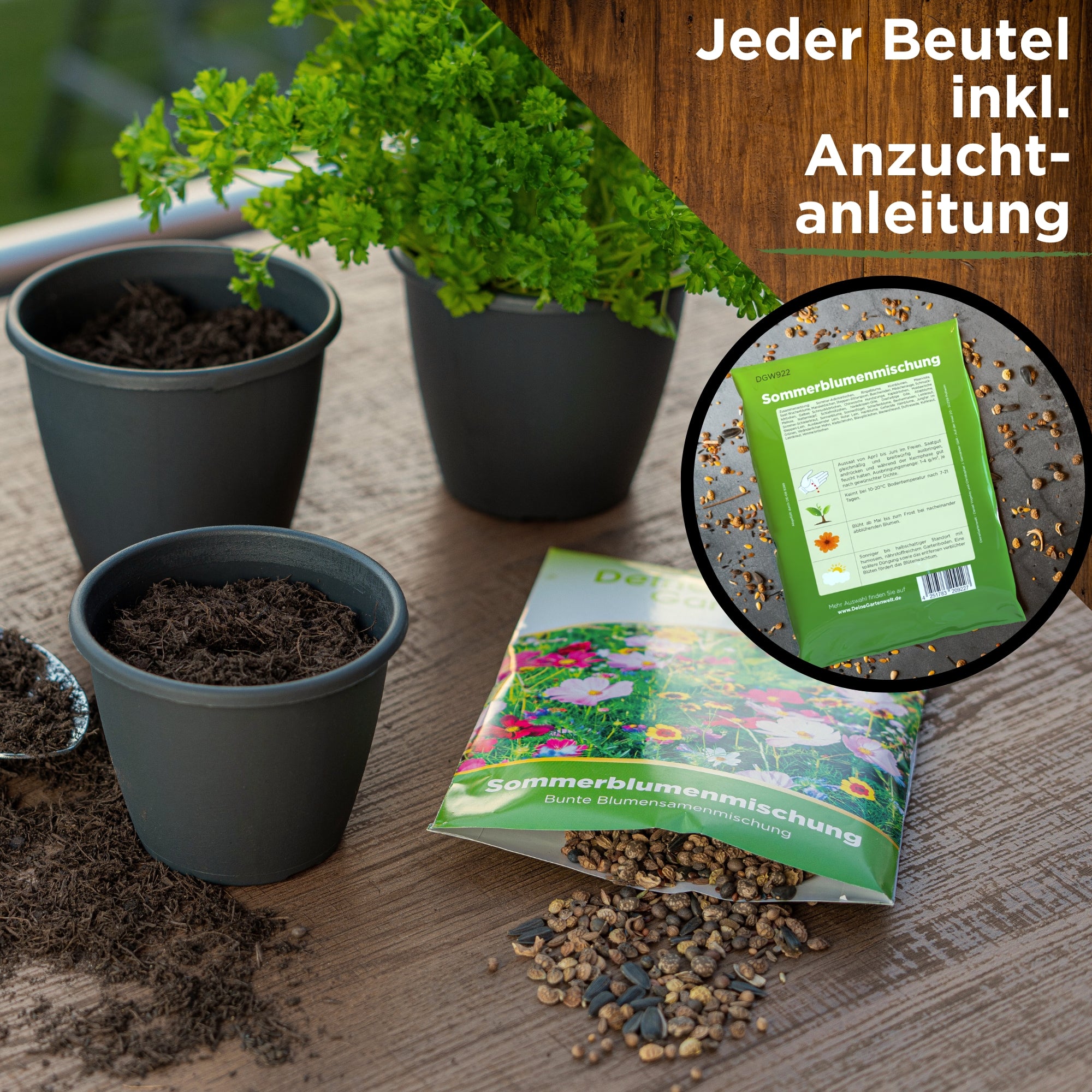 Sommerblumenwiese Blumenmischung 100 g