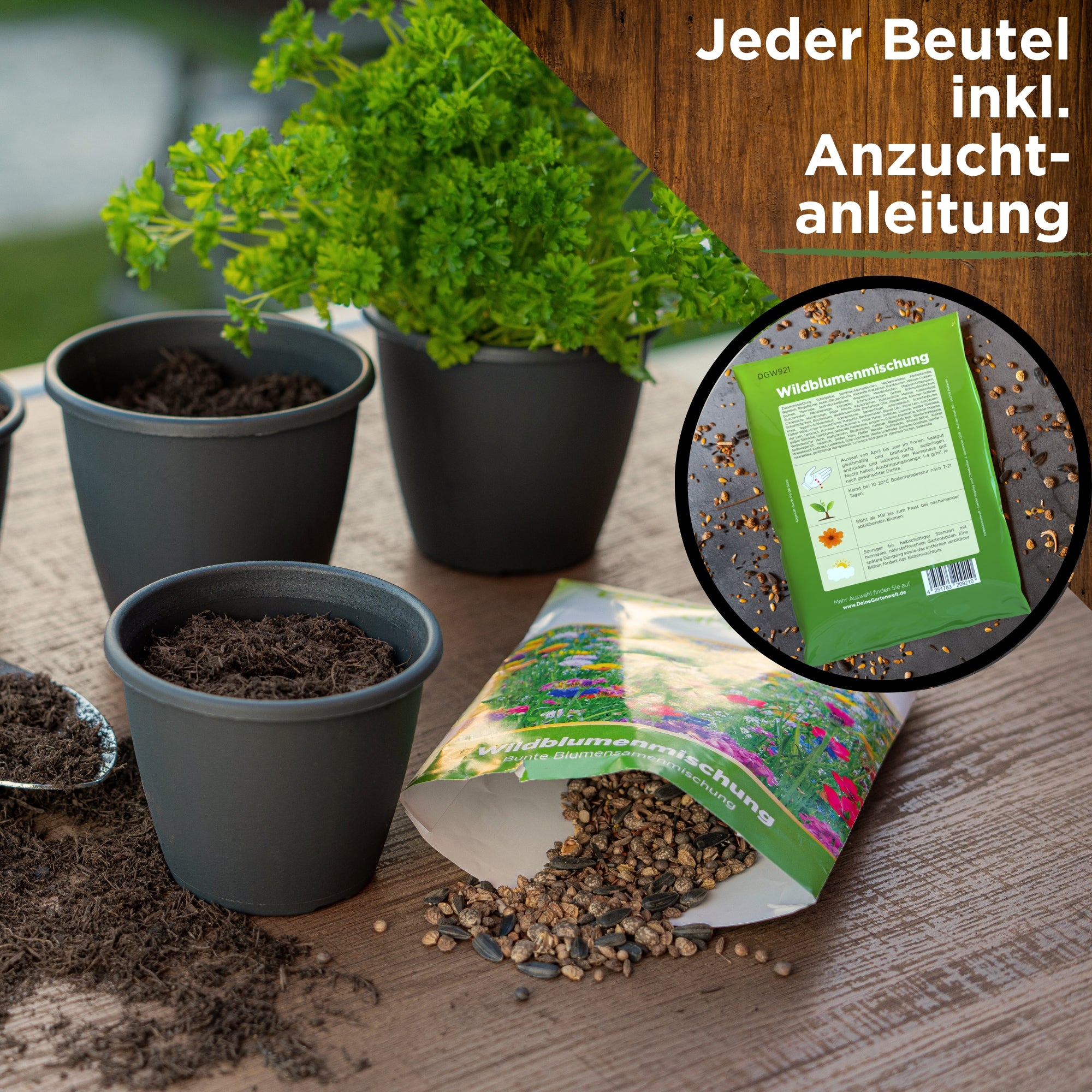 Wildblumenwiese Blumenmischung 100 g